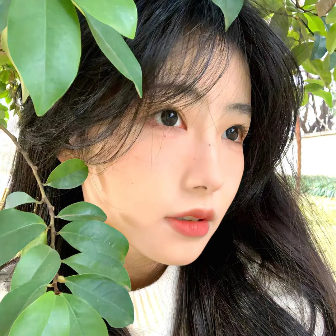 相逢何必曾相识